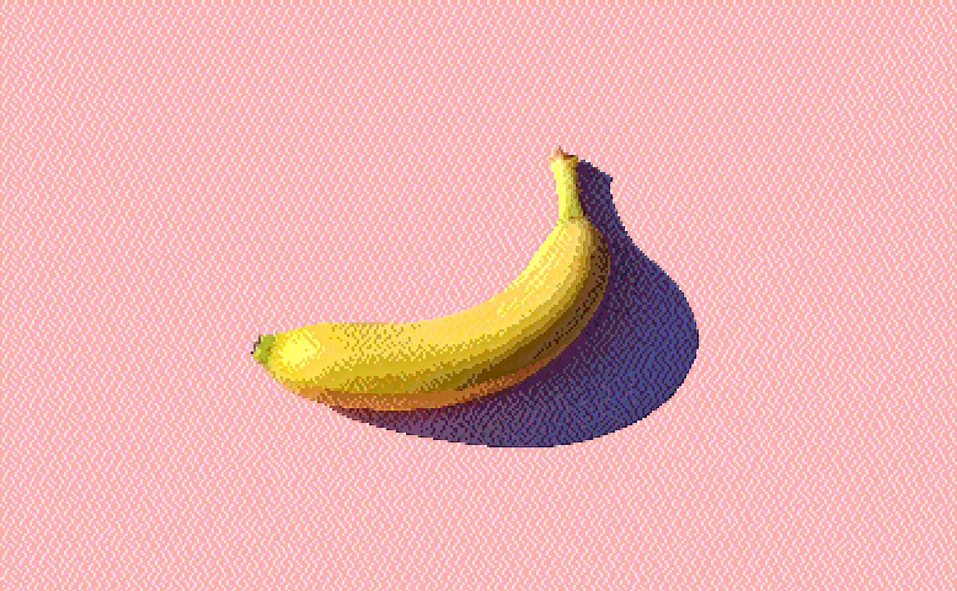 Still life photo with Jarvis-Judice-Ninke dithering showing smooth tonal transitions and detailed error diffusion